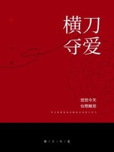 横刀夺爱